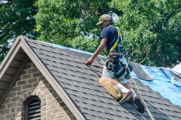 Best Roof Gutter Cleaning  in Highland, IN